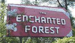 Enchanted Forest